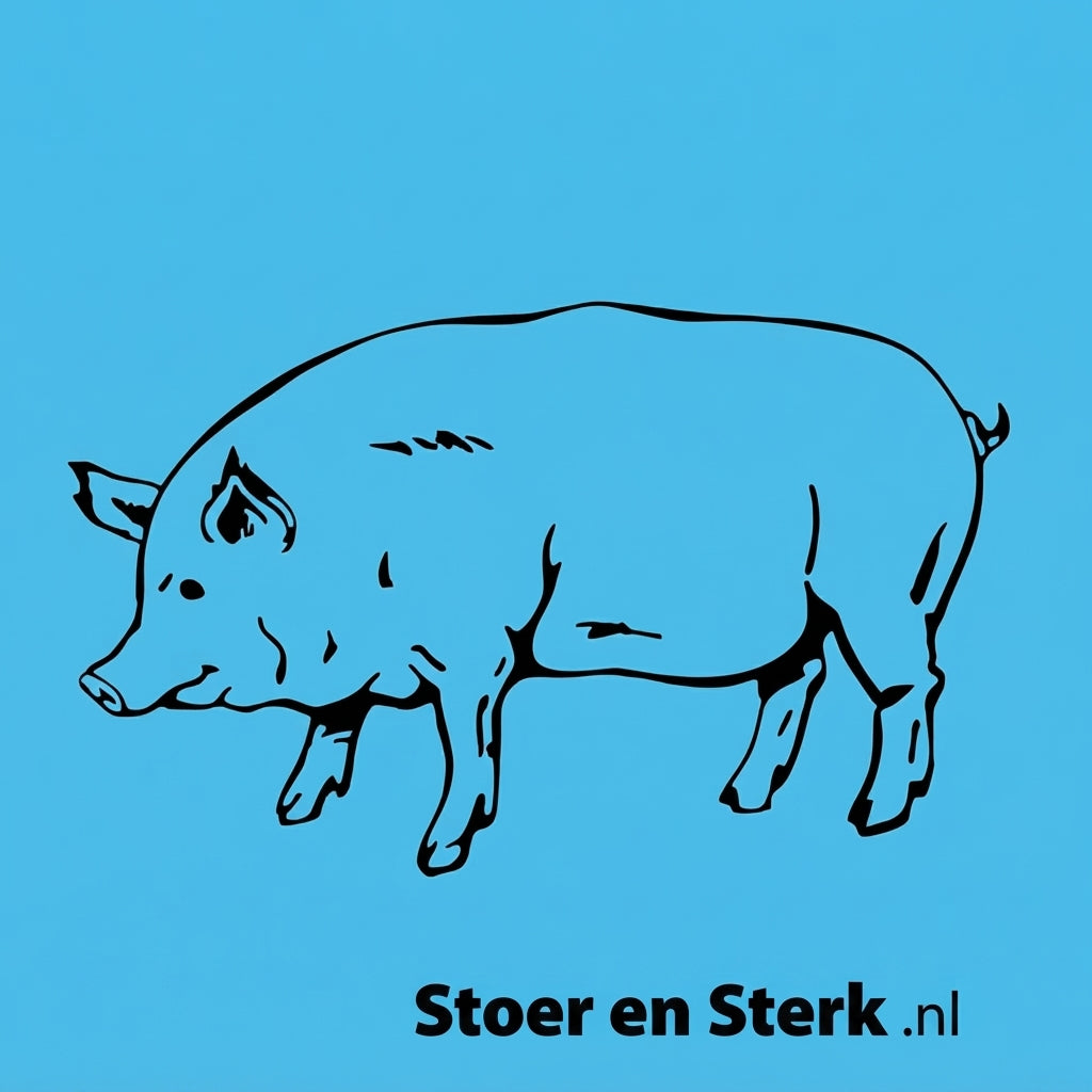 Blauwe Kinderoveralls met geborduurde naam + print