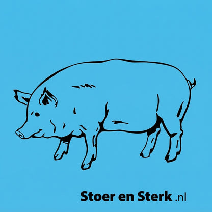 Blauwe Kinderoveralls met geborduurde naam + print