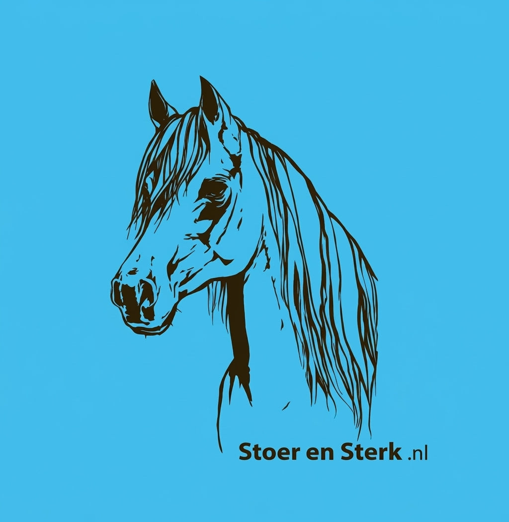 Blauwe Kinderoveralls met geborduurde naam + print