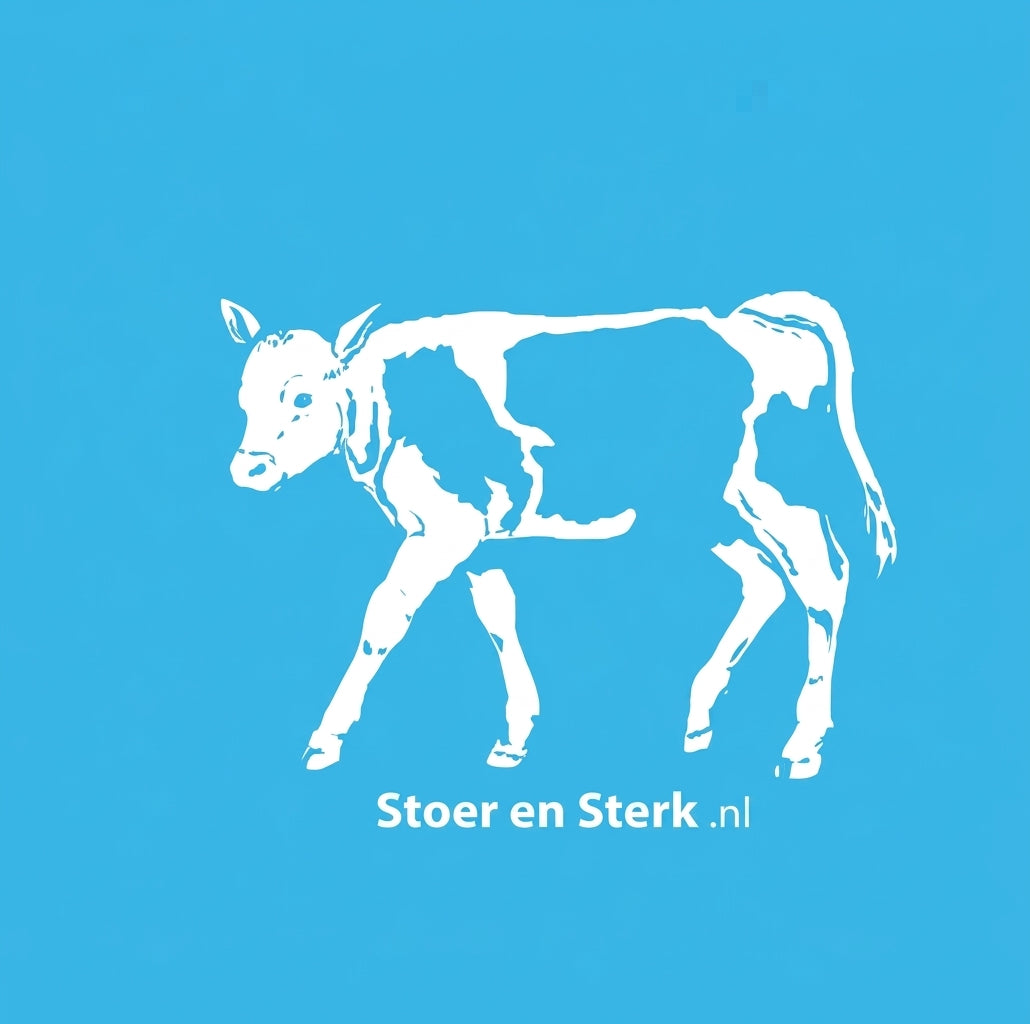 Blauwe Kinderoveralls met geborduurde naam + print